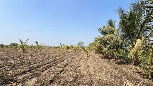 सहजपूर-जवळा इथल्या गावकऱ्यांची बागायती जमीन शक्तिपीठ महामार्गात जाणार आहे.