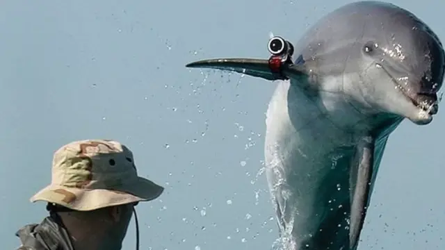 ரஷ்யாவுக்கு உளவு பார்த்த 'திமிங்கிலம்'