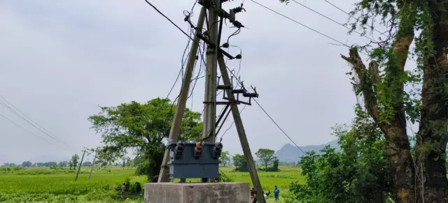 ఏనుగులు 