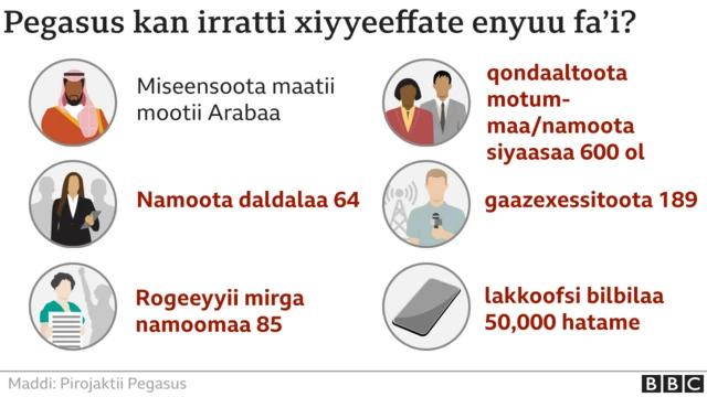 Eenyu fa'i irratti xiyyeeffatamee?