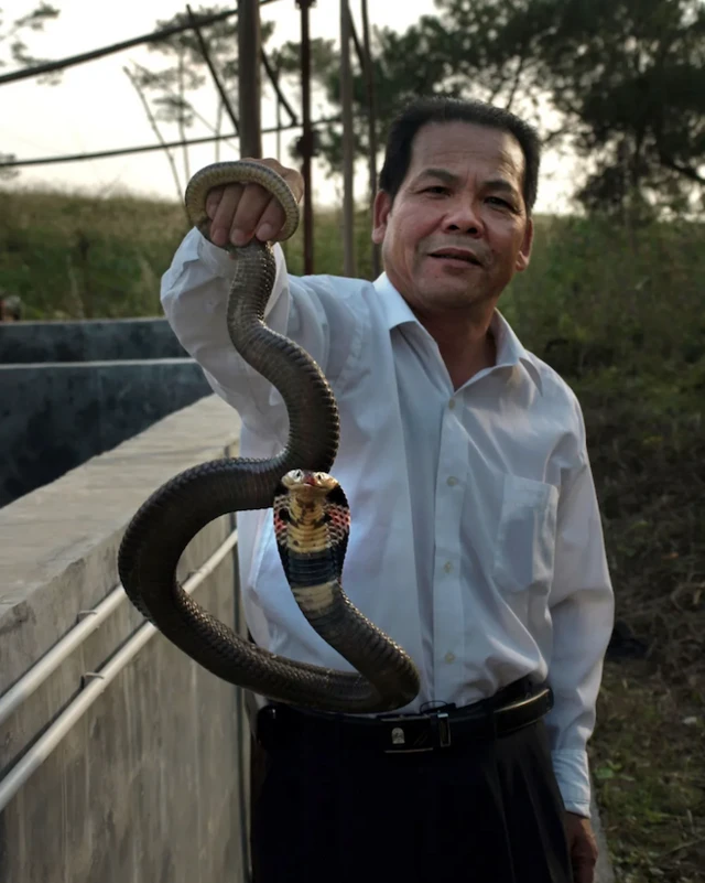 ular untuk prediksi gempa