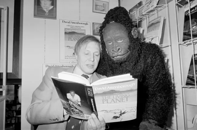 David Attenborough, Birmingham'daki Hudsons Kitabevi'nde . Yanında goril kostümü giymiş bir adam var. David, Şubat 1984'te piyasaya sürülen yeni kitabı "Yaşayan Gezegen"in (The Living Planet) tanıtımını yapıyor. 