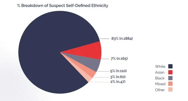 نیشنل پولیس چیف کونسل (این پی سی سی) رپورٹ