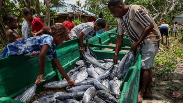 ekonomi, papua, tambrauw