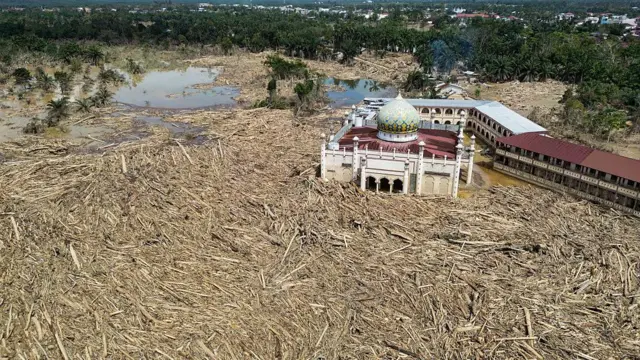 Pemandangan udara menunjukkan sisa-sisa pohon tumbang yang luas di pesantren dan masjid Darul Mukhlisin setelah banjir bandang di Aceh Tamiang, Sumatera Utara pada 10 Desember 2025.