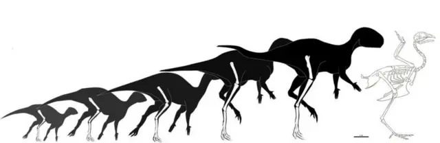 બીબીસી ગુજરાતી, ગુજરાત, બીબીસી, અમદાવાદ, ડાયનોસોર, ઇતિહાસ, 