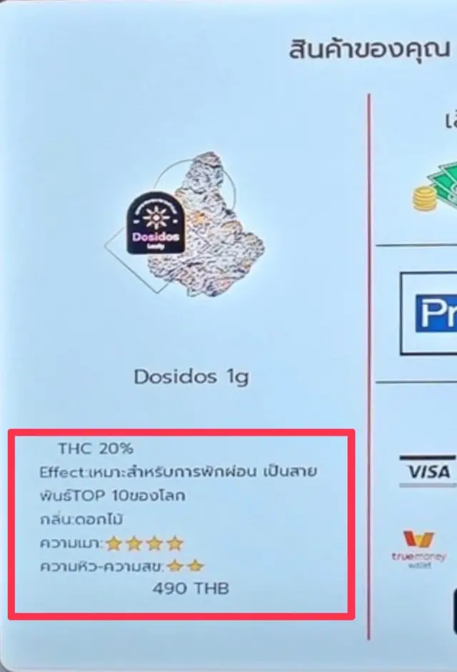 ชมรมแพทย์ 