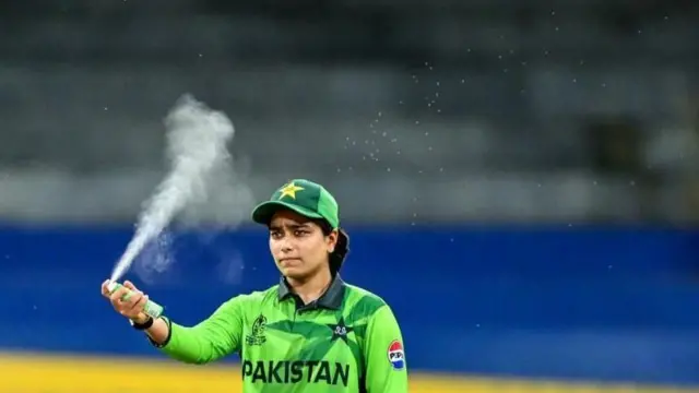 फातिमा सनाने एरोसोल स्प्रेद्वारे उडणारे कीटक हाकलण्याचा प्रयत्न केला.