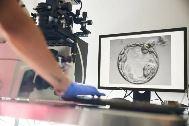 Una pantalla en un laboratorio en el que se ve un óvulo siendo fertilizado.