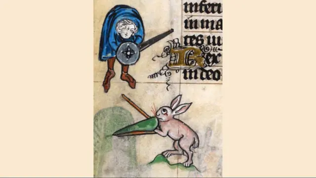 Conejo en pelea con espadas contra caballero