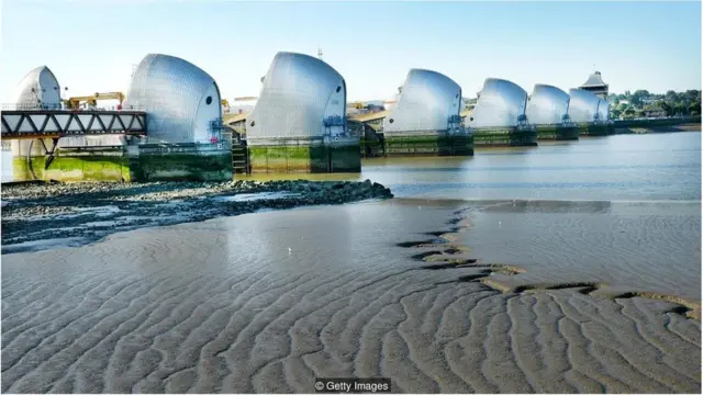 जंगल के आग पर काबू कैसे पाया जा सकता है?