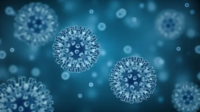 coronavirus