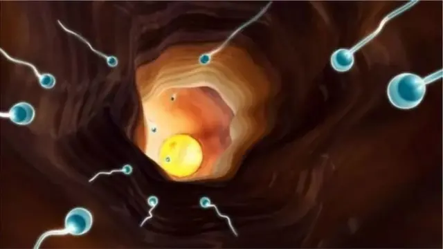 प्रतीकात्मक फोटो