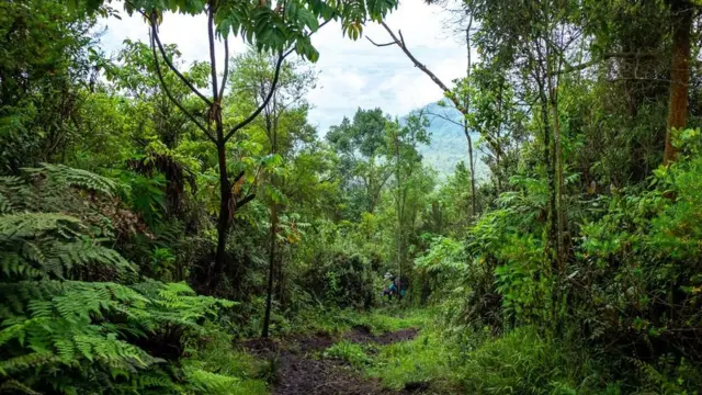 زيارة إلى "بحيرة النار" الأفريقية التي تبلغ حرارتها ألف درجة مئوية