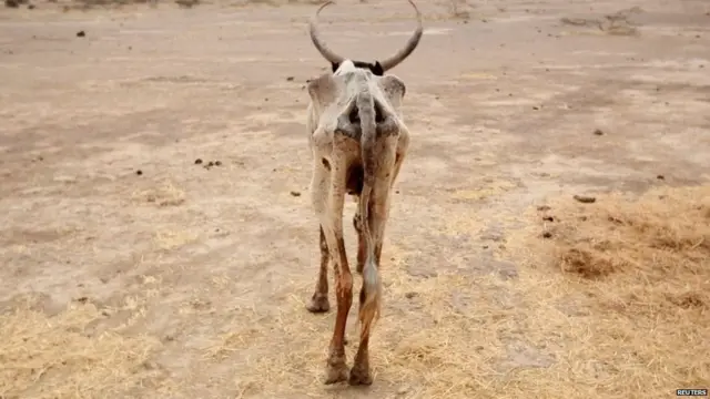 इथियोपिया