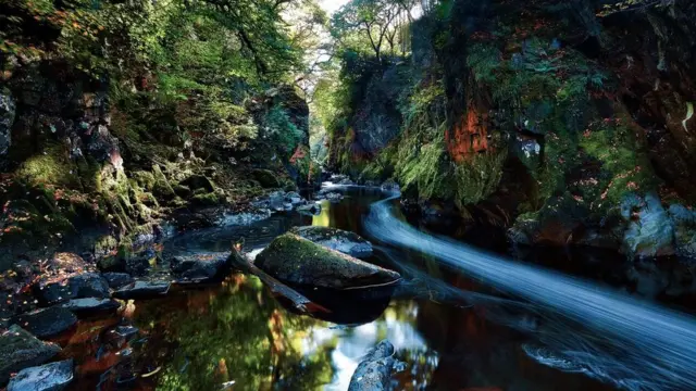 Arroyo flanqueado por rocas y vegetación