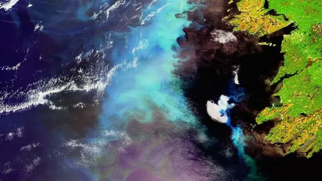 நிறம் மாறும் பெருங்கடல்கள்