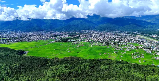 सुर्खेतको धानबाली