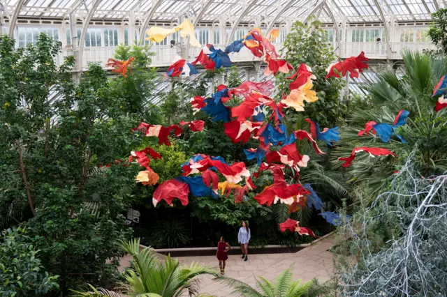 Brightly coloured cloths are suspended from the ceiling of a large greenhouse.