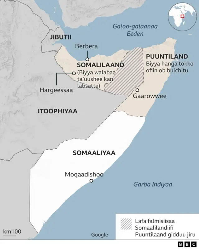 Danaa Itoophiyaa, Somaaliland, Jibutii, Somaaliyaa agarsiisu