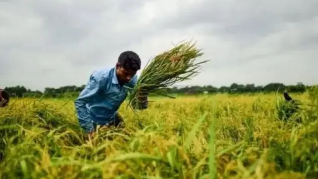 জমি সংক্রান্ত কর কমিয়ে আনার কথাও বলেন অনেক বিশেষজ্ঞ। 