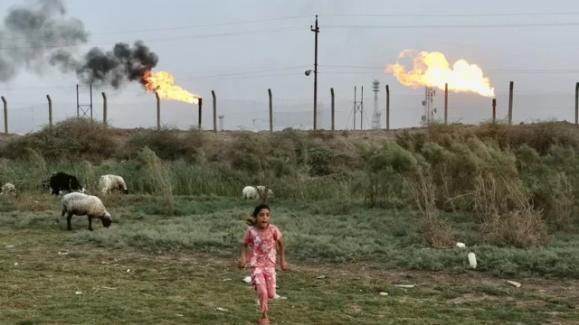 Басра чөлкөмү