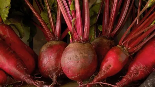 ቀይሕ ሱር ንስፖርተኛታት ትንፋሶም ከማዕብሉ ይሕግዝ