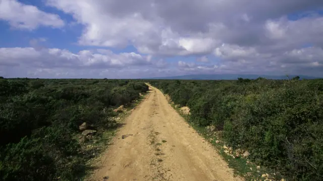 భూమి, ఆకాశం, హొరైజన్