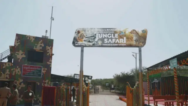 બરડો ડુંગર, બરડા જંગલસફારી, ગુજરાત, એશિયાઈ સિંહો, ગુજરાત વનવિભાગ, સિંહદર્શન, ટુરિઝમ, ઇકો-ટુરિઝમ, બીબીસી ગુજરાતી 