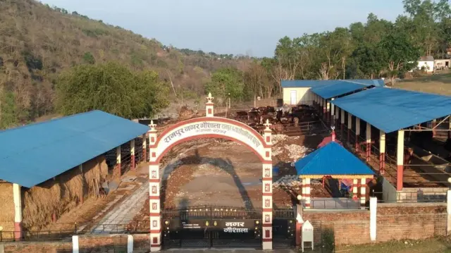 रामपुर नगर गौशाला