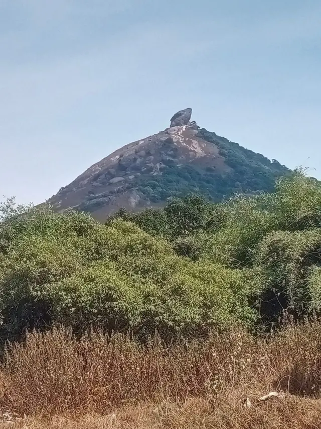 கோவை: வெள்ளியங்கிரி மலை ஏறுவது எவ்வளவு கடினம்? உயிரிழப்புகள் அதிகரிப்பது ஏன்? பிபிசி கள ஆய்வு