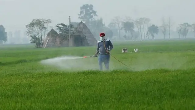 ਖੇਤ ਵਿੱਚ ਸਪਰੇ ਕਰ ਰਿਹਾ ਪੰਜਾਬ ਦਾ ਕਿਸਾਨ