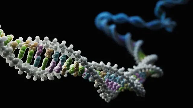 मानवी डीएनएचं कल्पनाचित्र DNA double Helix 