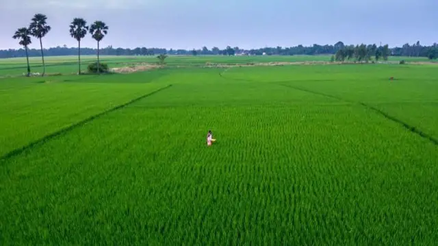 இந்தியாவின் விவசாயத் துறை அரசியல் ரீதியாக உணர்திறன் கொண்டது, சமூக ரீதியாக சிக்கலானது மற்றும் பொருளாதார ரீதியாக முக்கியமானது.