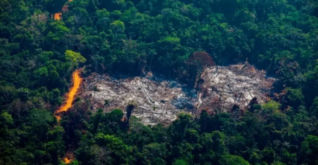 Área de floresta amazônica desmatada 