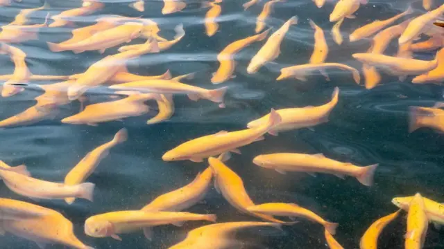 சாகர் மாலா