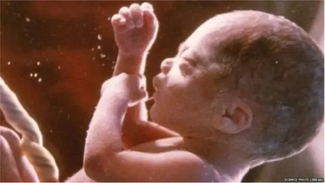 प्रातिनिधिक फोटो