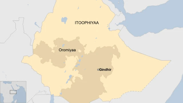 Gindhir magaalaa gudditti Godina Baalee Bahaati