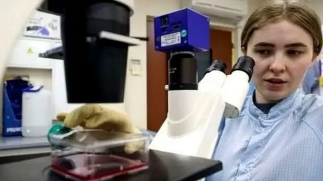 कोरोना, लस