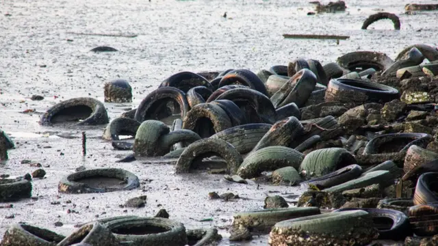 Llantas en una playa