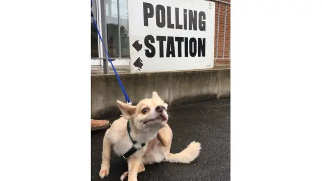 Screen grab of tweet by @falcoretweets