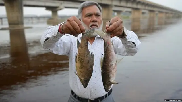 ਇਸੇ ਸਾਲ ਬਿਆਸ 'ਚ ਸੀਰਾ ਲੀਕ ਹੋਣ ਕਰਕੇ ਮੱਛੀਆਂ ਮਰ ਗਈਆਂ ਸਨ