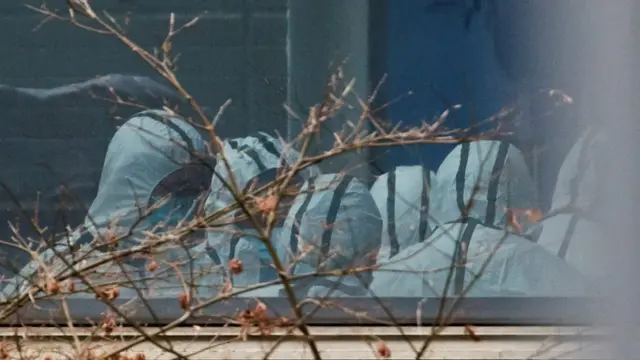 کارشناسان سازمان بهداشت جهانی در حال بررسی در ووهان