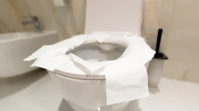 ਟਾਇਲਟ ਸੀਟ