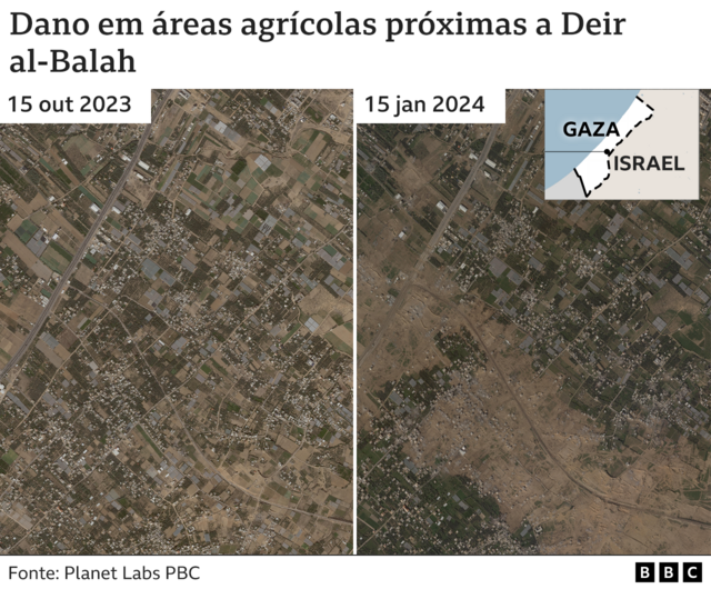 Imagensestrela beta evosatélite mostram antes e depoisestrela beta evoáreas agrícolas devastadasestrela beta evoGaza