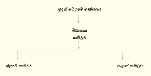 යෝජිත ක්‍රිකට් ව්‍යුහය