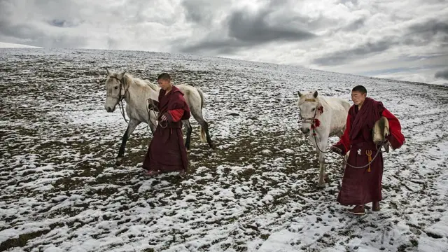 ਦਲਾਈ ਲਾਮਾ