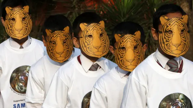 เนปาลดำเนินยุทธศาสตร์ ฟื้นฟูประชากรเสือ นับแต่ปี 2009