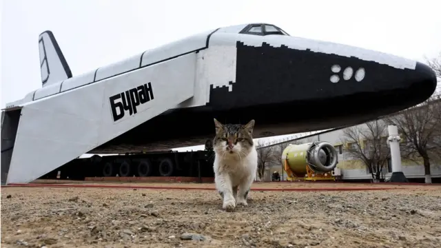 Котик у "Бурана"