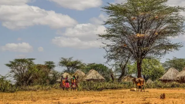 ምድረ በዳ ገጠራት ካራሞጃ